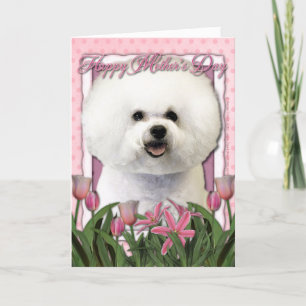 Carte Fête des mères - Tulipes roses - Bichon Frise