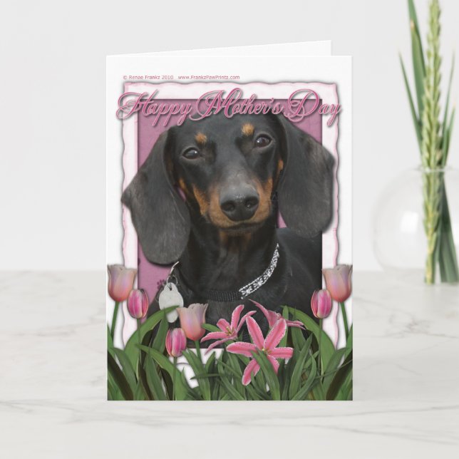Carte Fête des mères - Tulipes roses - Dachshund - Winst (Devant)