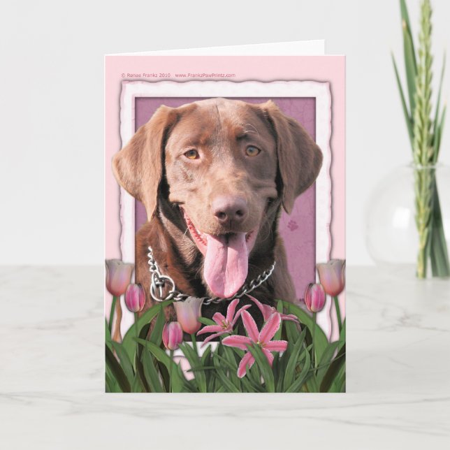 Carte Fête des mères - Tulipes roses - Labrador - Chocol (Devant)
