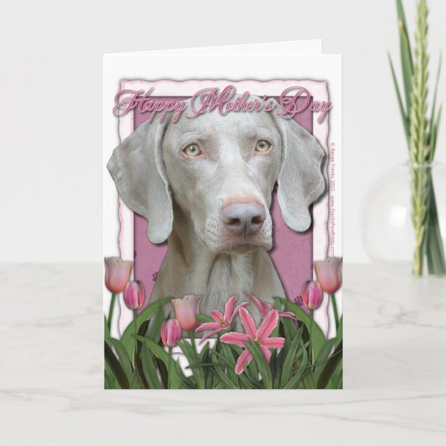 Carte Fête des mères - Tulipes roses - Weimaraner - Yeux (Devant)