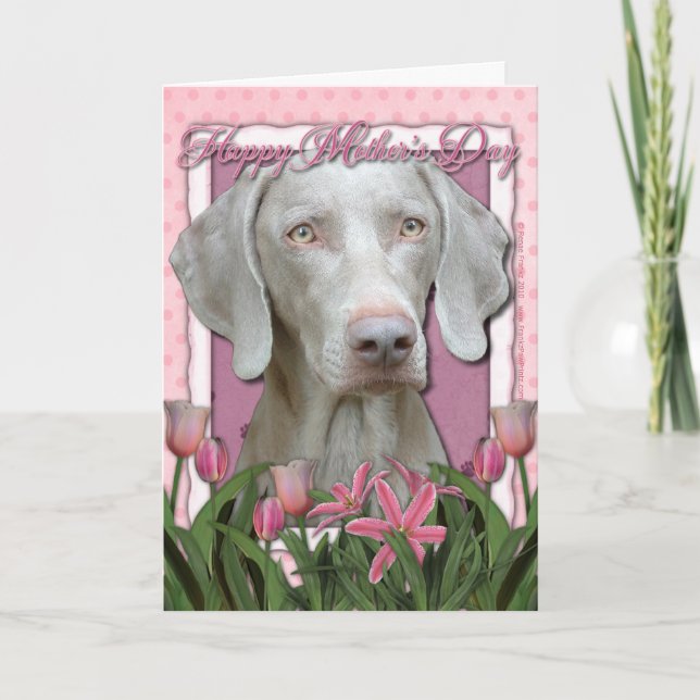 Carte Fête des mères - Tulipes roses - Weimaraner - Yeux (Devant)