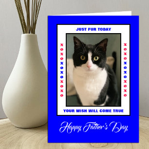 Carte Fête des pères amusante du(des) chat(s) Photo