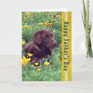 Carte Fête des pères belle Labrador Retriever Chien phot