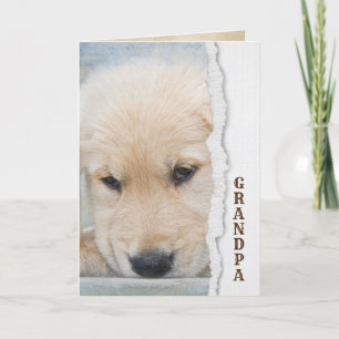 Carte Fête des pères golden extracteur chiot pour grand-