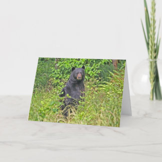 Carte Fête des pères Papa Bear