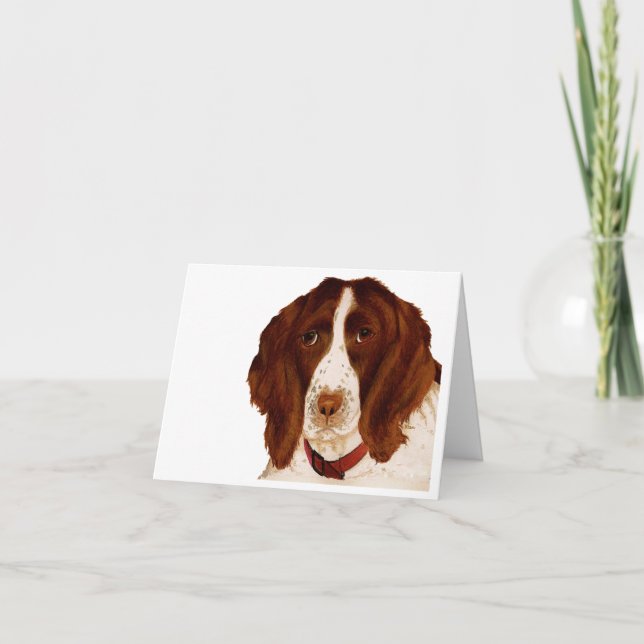 Carte Fête des pères Springer Spaniel (Devant)