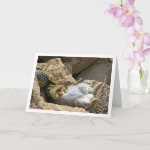 Carte Fête du serpent de Montpellier sur lapin