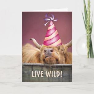 Carte Fête Steer Live Wild Anniversaire