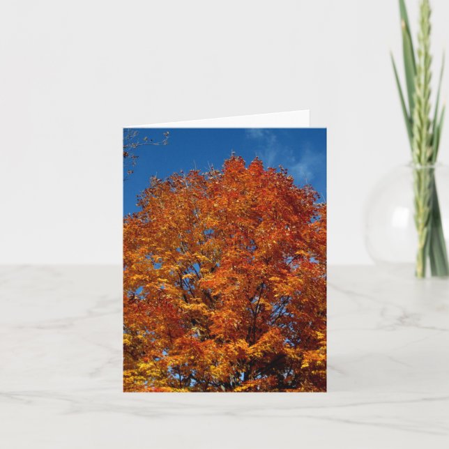 Carte Feu supérieur de l'arbre vierge_orange (Devant)