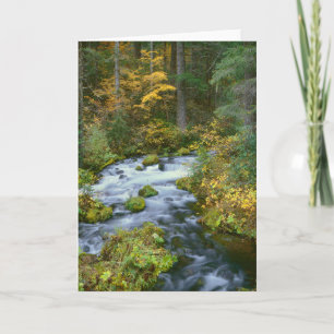 Carte Feuillage d'automne et Douglas Fir Frontière Riviè