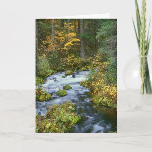 Carte Feuillage d'automne et Douglas Fir Frontière Riviè (Devant)