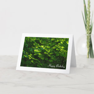 Carte Feuille au printemps