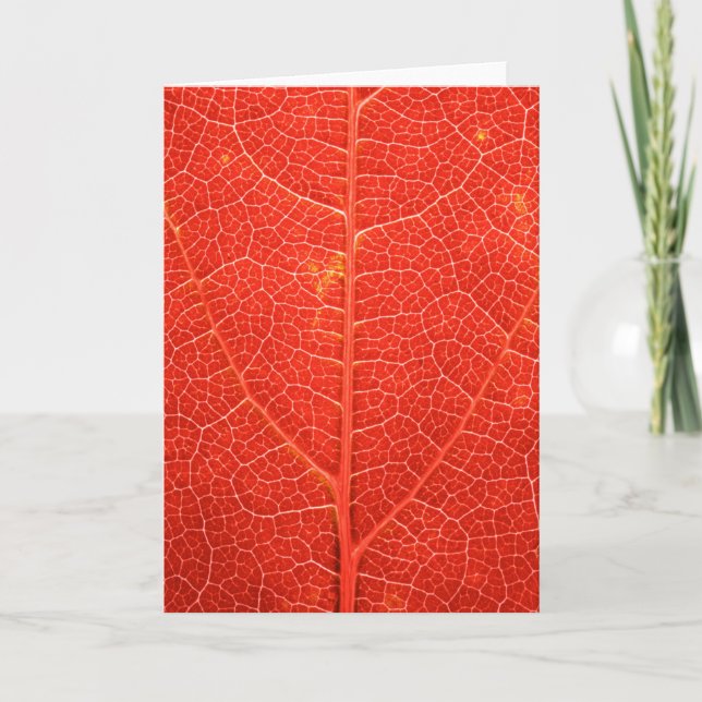 Carte Feuille automnale (Devant)
