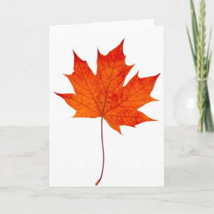 Carte Feuille d'érable rouge