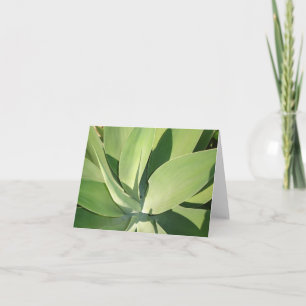 Carte Feuille et ombres v2