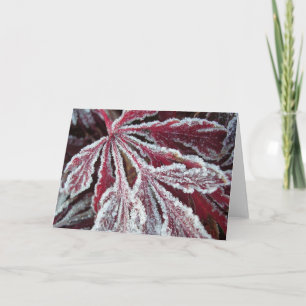 Carte Feuille givrée brouillée