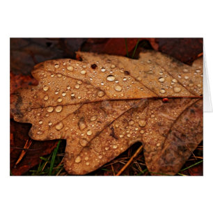 Carte feuille jaune d'automne