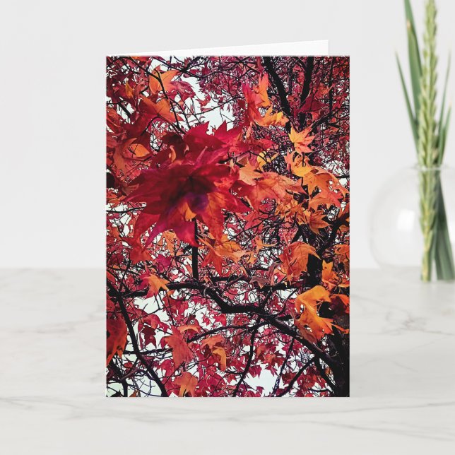 Carte Feuille orange et rouge (Devant)