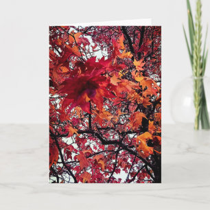 Carte Feuille orange et rouge