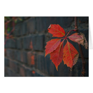 Carte Feuille rouge