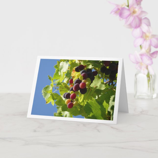Carte Feuille verte aux raisins rouges (Orchidée)