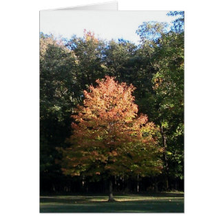 Carte Feuilles Automne (Modèle)