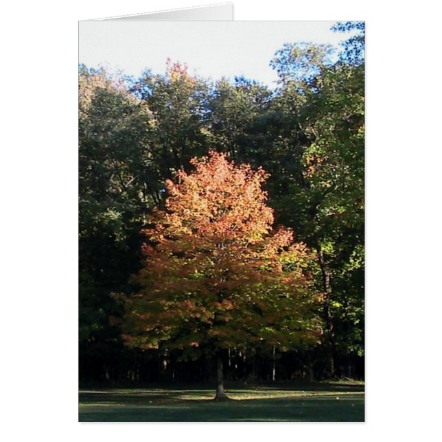 Carte Feuilles Automne (Modèle) (Devant)