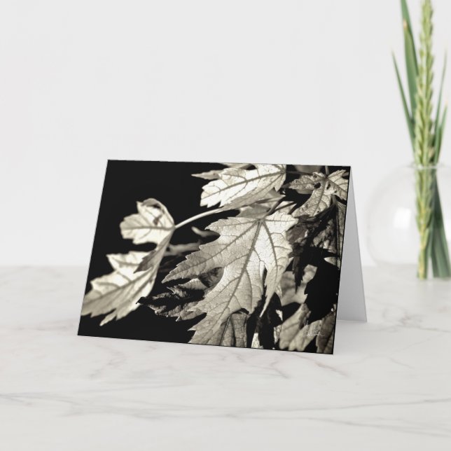 Carte Feuilles [Carte de voeux] (Devant)