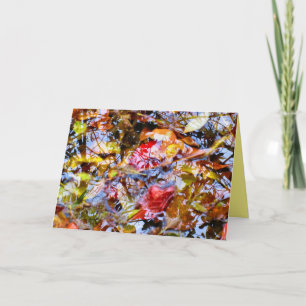 Carte Feuilles colorés Formes Arbre Réflexions dans l'ea