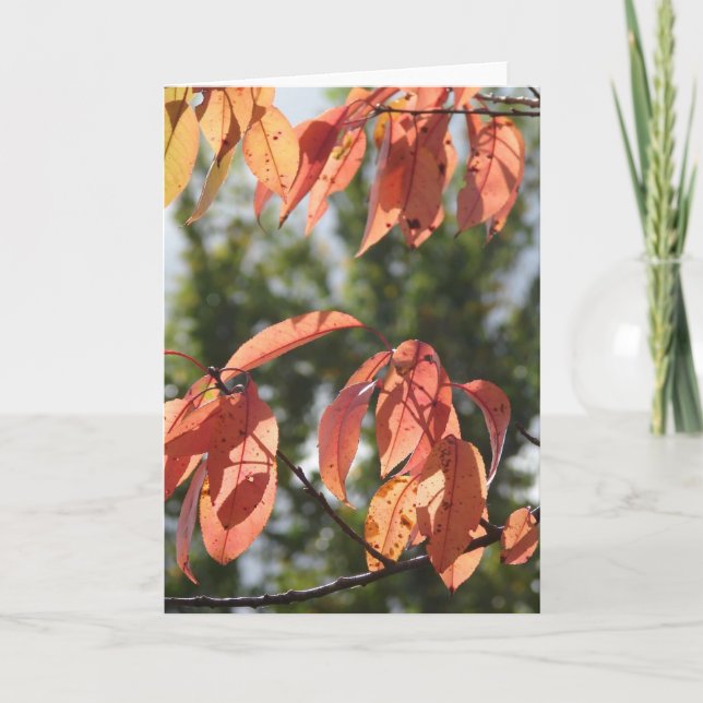 Carte Feuilles d'automne (Devant)