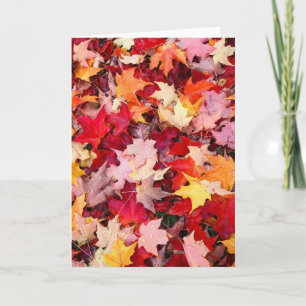 Carte Feuilles d'automne colorées