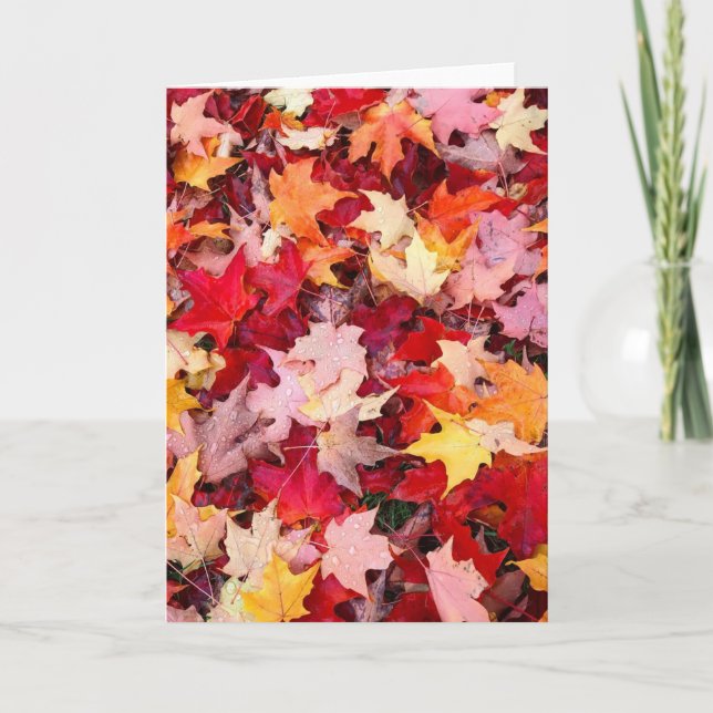 Carte Feuilles d'automne colorées (Devant)