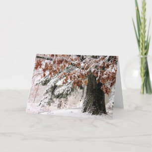 Carte Feuilles de chêne neigeux