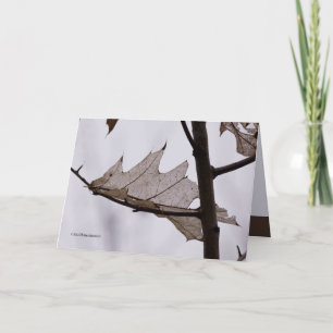 Carte Feuilles de fantôme de chêne