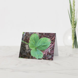 Carte Feuilles de fraises texturées