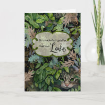 Feuilles et collage de chats