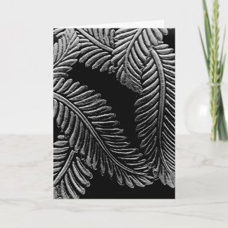 Carte Feuilles noirs et blancs