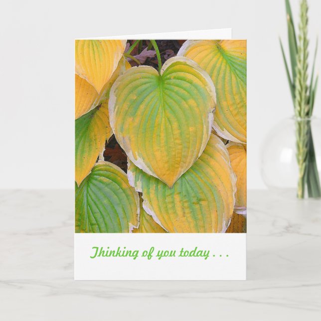 Carte "Feuilles Plantes Marigold Et Lime Vert (Devant)