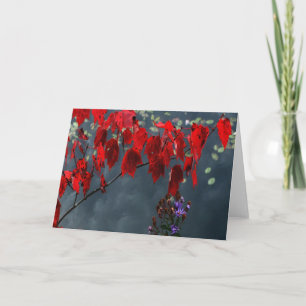 Carte "Feuilles rouges"