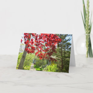 Carte Feuilles rouges et promenade - Vignoble de Martha