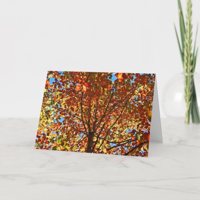 Carte Feux d'artifice d'automne (Devant)
