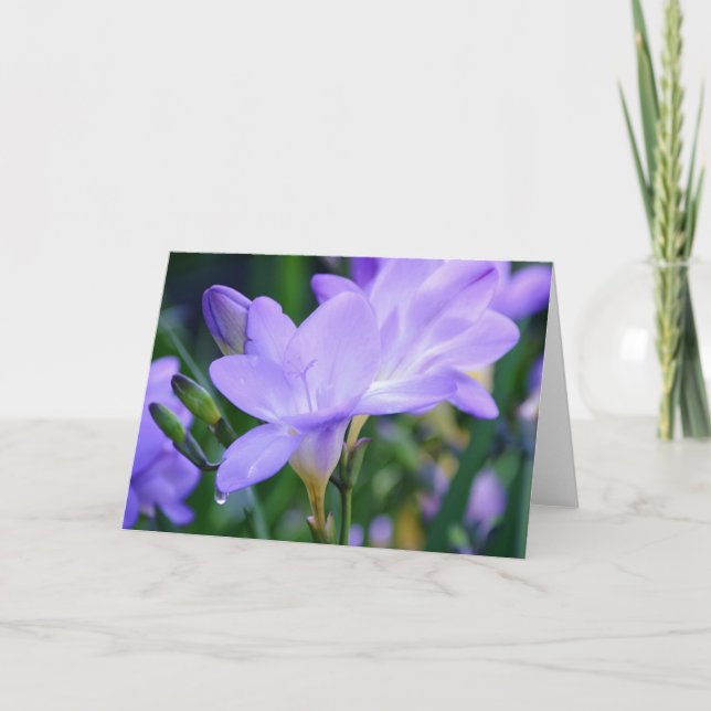 Carte Fiche de note sur les objets d'art Purple Freesia  (Devant)