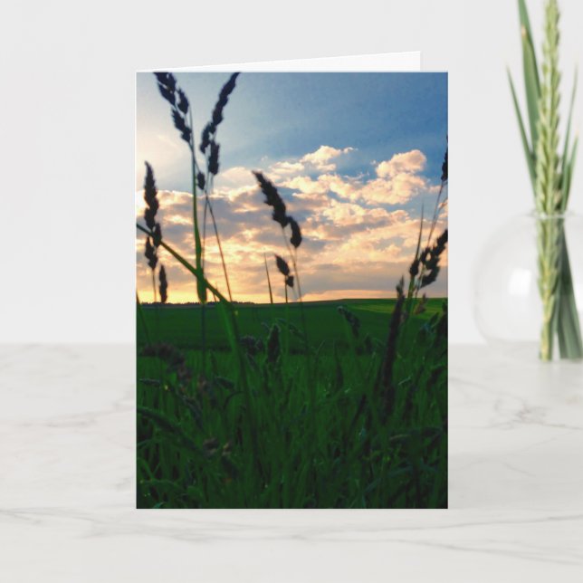 Carte Field at Dusk (Devant)