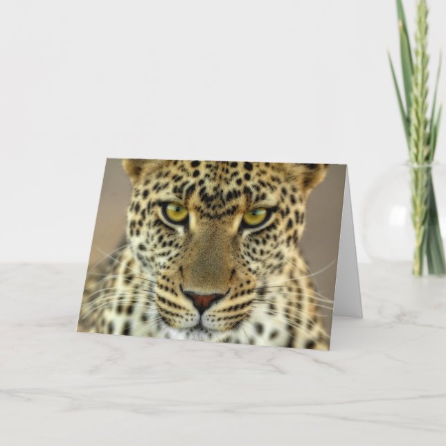 Carte Fierce Leopard (Devant)