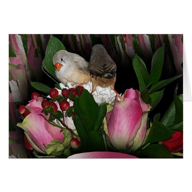 Carte Finch 2 (Devant horizontal)