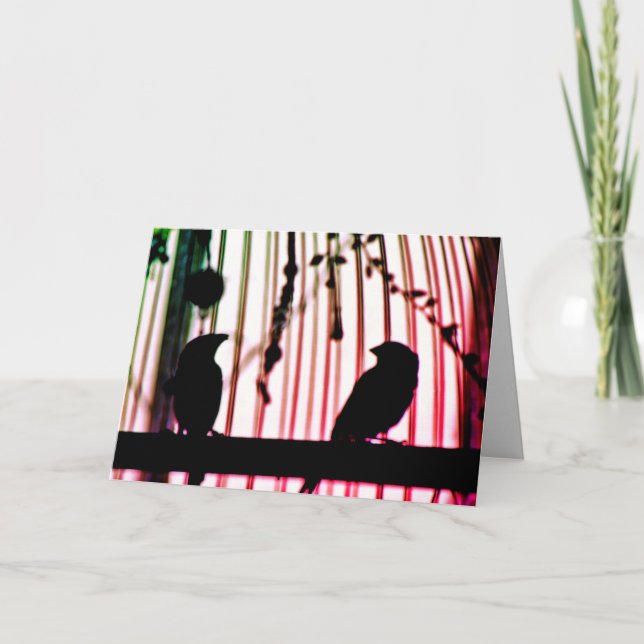 Carte Finch Friends (Devant)