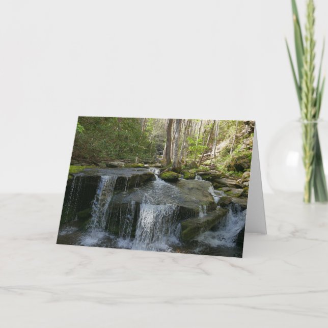 Carte Findlay Falls I (Devant)