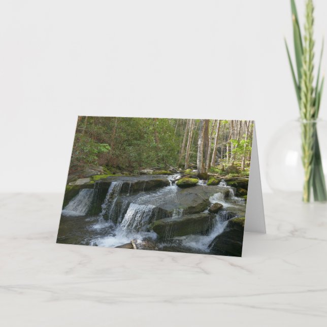 Carte Findlay Falls II (Devant)