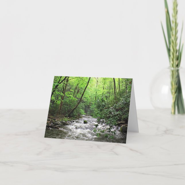 Carte Fires Creek (Devant)