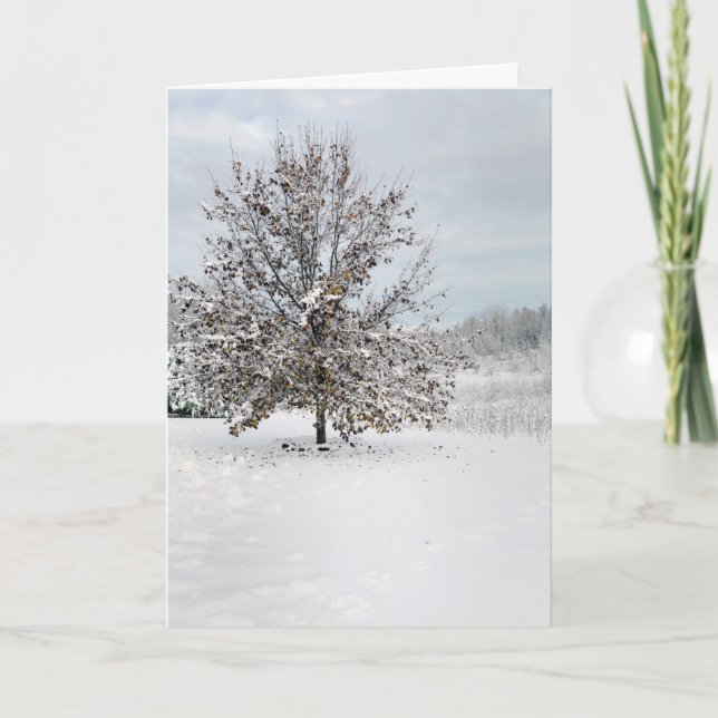 Carte First Snow Blank Note Card (Devant)